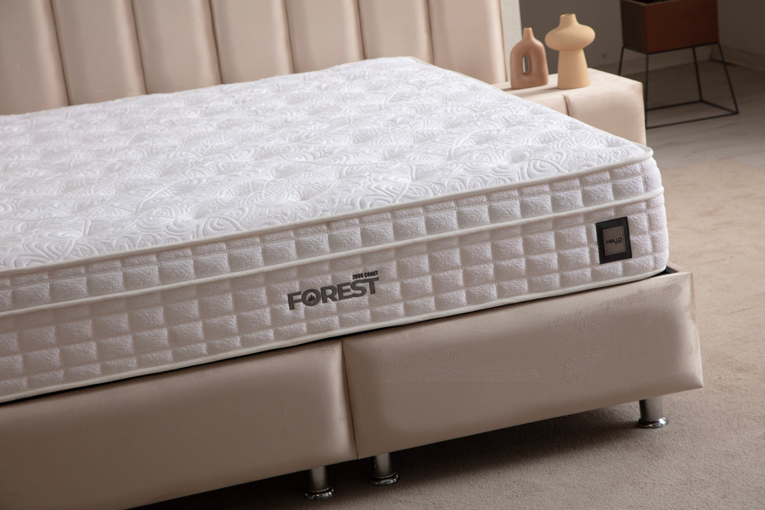 Defne bed with storage space