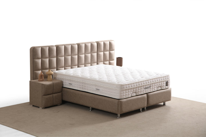 Tesla bed with storage space