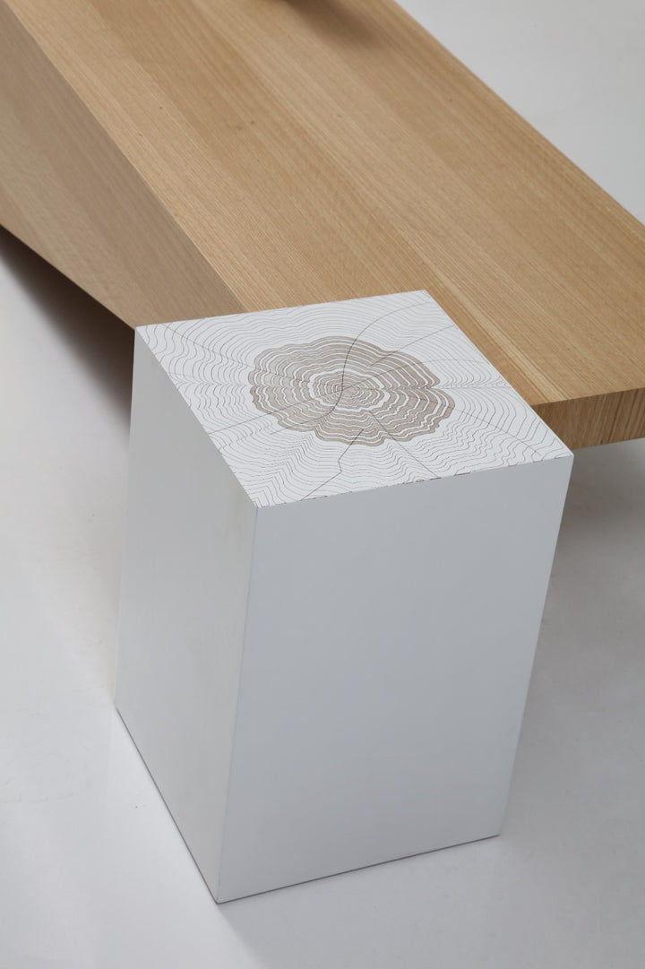 Pablo Couchtisch (Walnut)